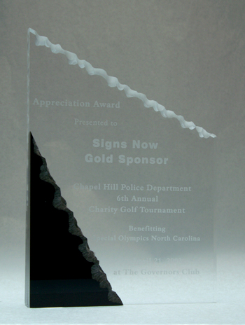 Acrylic Award