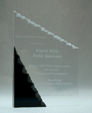 Acrylic Award