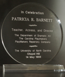 Acrylic Award