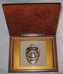 Custom Mini Shadow Box