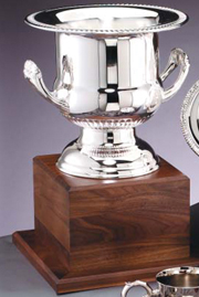 Large Trophy on Wooden Base